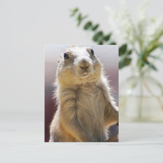 Produkt anpassen postkarte (Stehend Vorderseite)