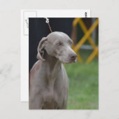 Produkt anpassen postkarte (Vorne/Hinten)