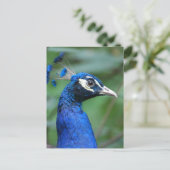 Produkt anpassen postkarte (Stehend Vorderseite)