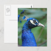 Produkt anpassen postkarte (Vorne/Hinten)