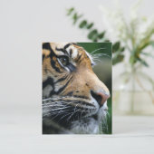 Produkt anpassen postkarte (Stehend Vorderseite)