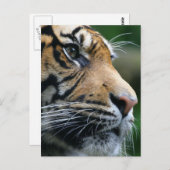 Produkt anpassen postkarte (Vorne/Hinten)