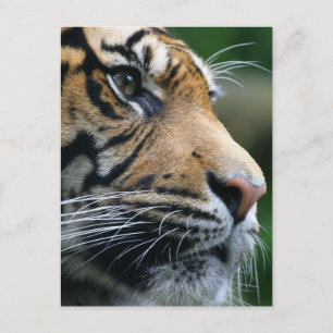 Produkt anpassen postkarte