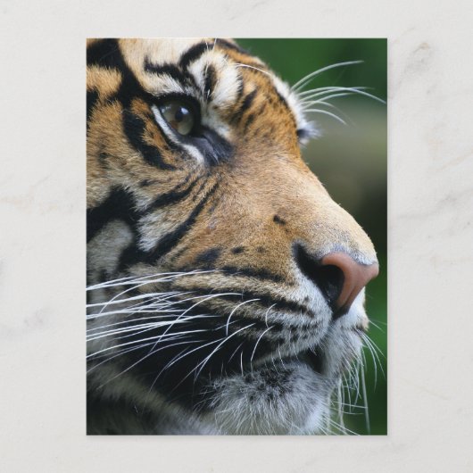 Produkt anpassen postkarte (Vorderseite)