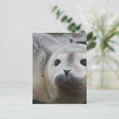 Produkt anpassen postkarte (Stehend Vorderseite)