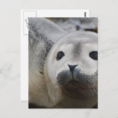 Produkt anpassen postkarte (Vorne/Hinten)