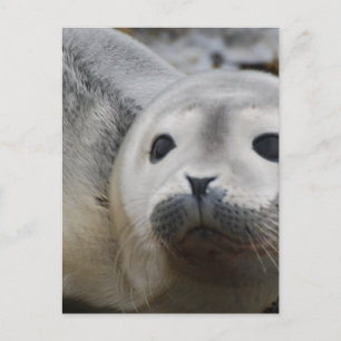 Produkt anpassen postkarte