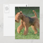 Produkt anpassen postkarte (Vorne/Hinten)