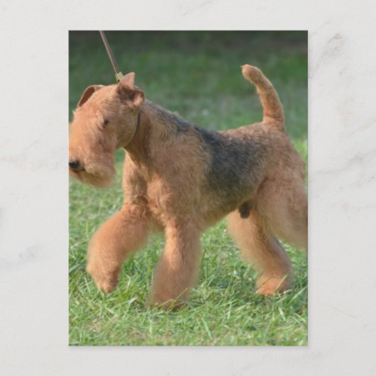 Produkt anpassen postkarte (Vorderseite)