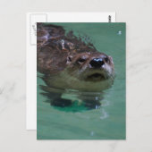 Produkt anpassen postkarte (Vorne/Hinten)