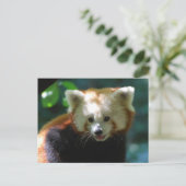 Produkt anpassen postkarte (Stehend Vorderseite)