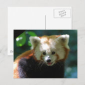 Produkt anpassen postkarte (Vorne/Hinten)