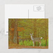 Produkt anpassen postkarte (Vorne/Hinten)