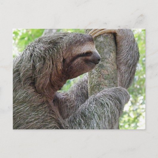 Produkt anpassen postkarte (Vorderseite)