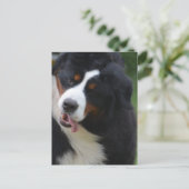 Produkt anpassen postkarte (Stehend Vorderseite)