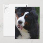 Produkt anpassen postkarte (Vorne/Hinten)