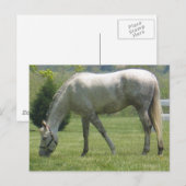 Produkt anpassen postkarte (Vorne/Hinten)