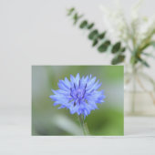 Produkt anpassen postkarte (Stehend Vorderseite)