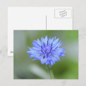 Produkt anpassen postkarte (Vorne/Hinten)