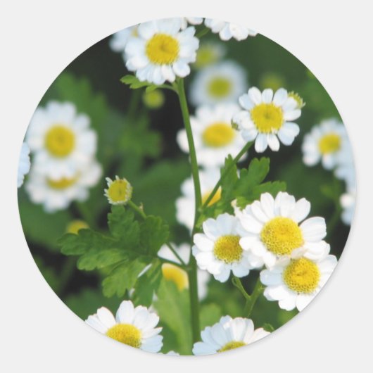 Produkt anpassen runder aufkleber (Vorderseite)