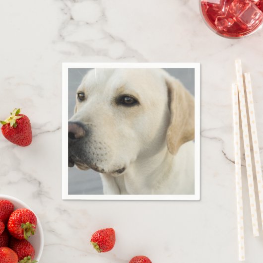 Produkt anpassen serviette (Beispiel)