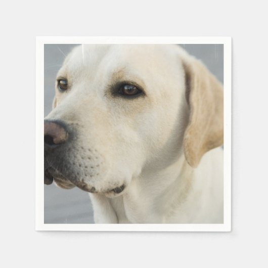 Produkt anpassen serviette (Vorderseite)