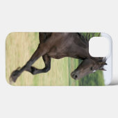 Produkt Case-Mate iPhone Hülle (Rückseite (Horizontal))