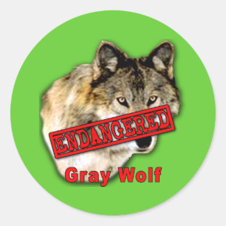 Produkte von Grauwolf gefährdete Arten Runder Aufkleber
