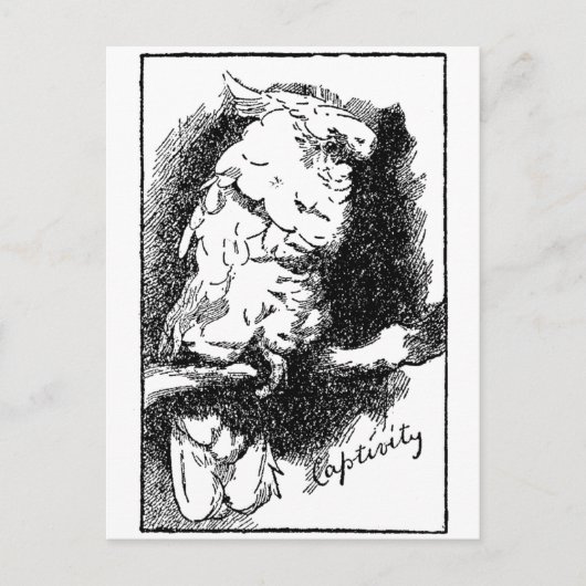Produktivität Postkarte (Vorderseite)