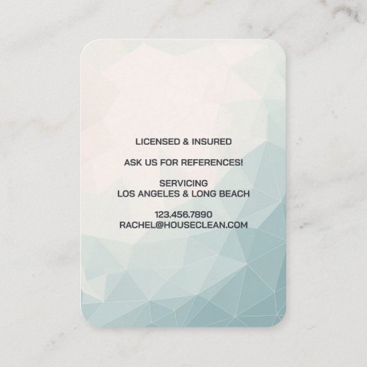 Professional House Cleaning Service Housekeeping Visitenkarte (Rückseite)