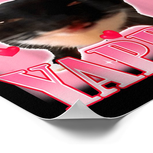 Professional Yapper Cat Funny Oddly Specific Dank  Poster (Ecke)