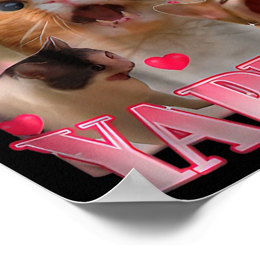 Professional Yapper Cat Funny Oddly Specific Dank  Poster (Ecke)