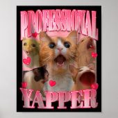 Professional Yapper Cat Funny Oddly Specific Dank  Poster (Vorne)