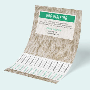 Professionelle Hunde-Spaziergang Flyer Moderne Hau