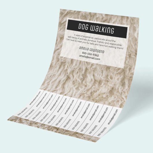 Professionelle Hundespaziergang-Flugblätter Minima Flyer