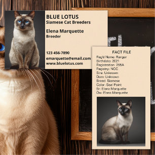 Professionelle Katzenzucht, Siamkatzen Züchter Visitenkarte