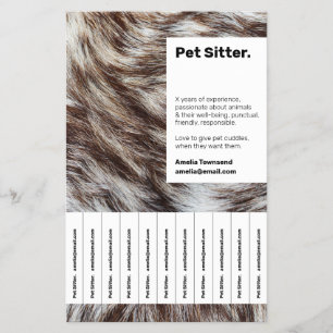 Professioneller Haustiersitter Flyer Kleinunterneh