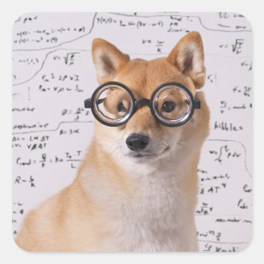 Professor Barkley Square Sticker (Glossy) (Vorderseite)