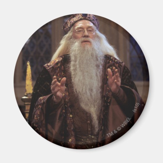 Professor Dumbledore Magnet (Vorne)