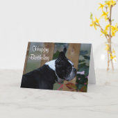 Profil Bostons Terrier Karte (Gelbe Blume)