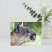 Profil der Berglionen Postkarte (Stehend Vorderseite)