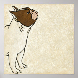 Profil der französischen Bulldogge oben schauend Poster