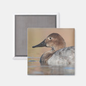 Profil der weiblichen Canvasback-Ente Magnet (Vorderseite/Rückseite)