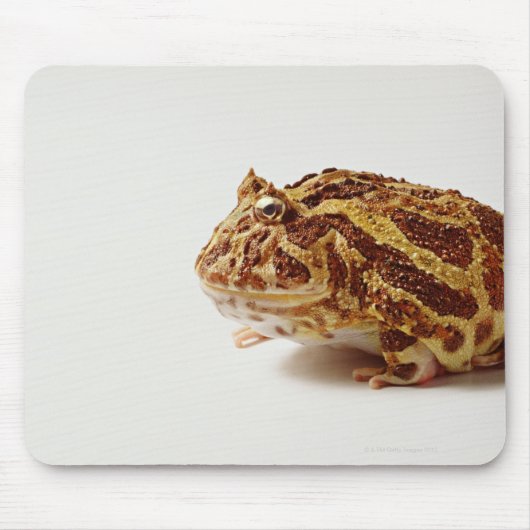 Profil des argentinischen Horned Frogs Mousepad (Vorne)