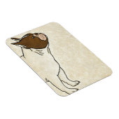 Profil des französischen Bulldog-Suchens Magnet (Rechte Seite)