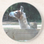 Profil des Lamas Getränkeuntersetzer (Vorne)
