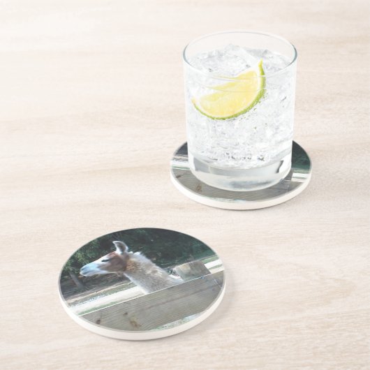 Profil des Lamas Getränkeuntersetzer (Seite)