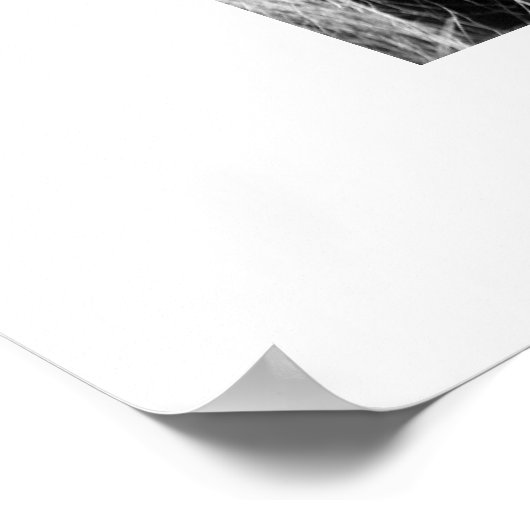 Profil des Löwen Poster (Ecke)