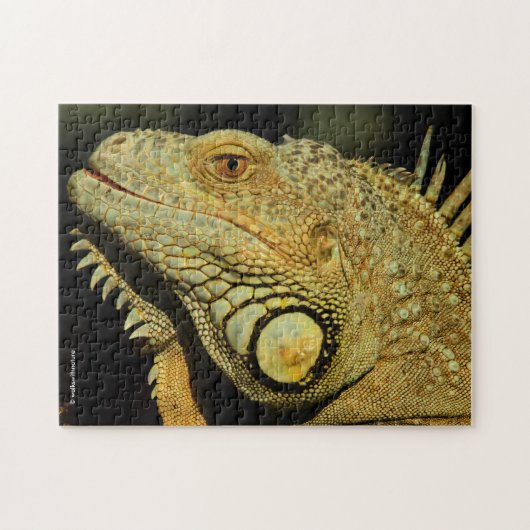 Profil einer grünen Iguana Puzzle (Horizontal)