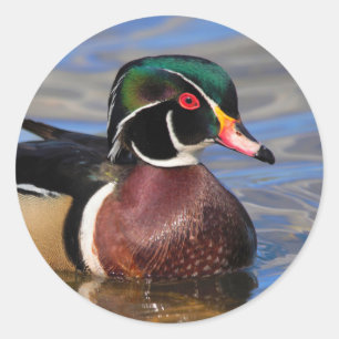 Profil einer handlichen Holzente auf dem Wasser Runder Aufkleber